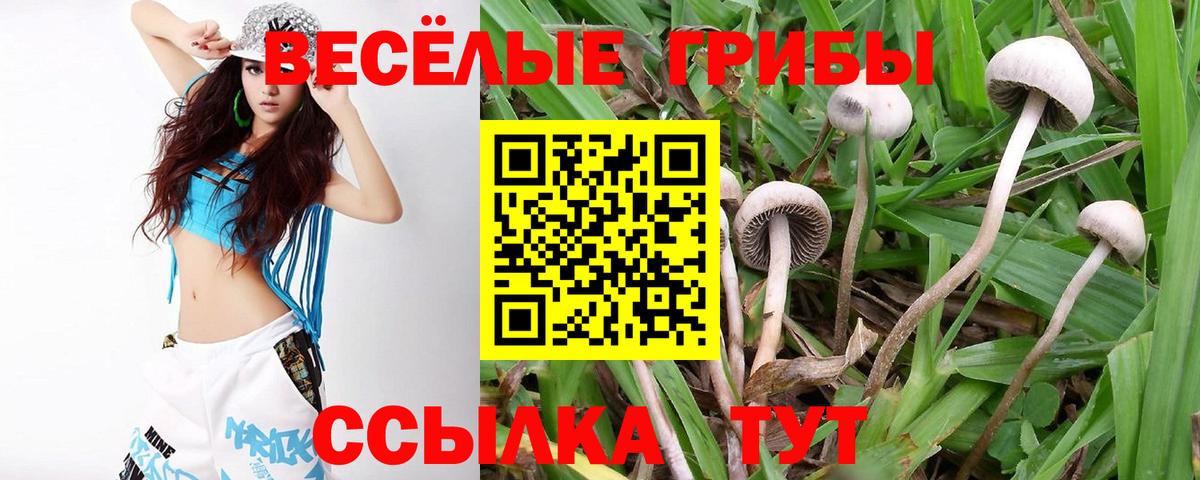 Псилоцибиновые грибы Psilocybine cubensis  Вход с VPN  Семёнов 